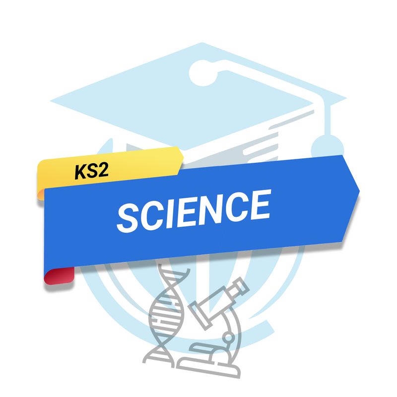 Science - Key Stage 2